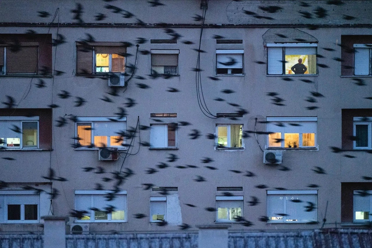 Jonas Bendiksen - The Book of Vales